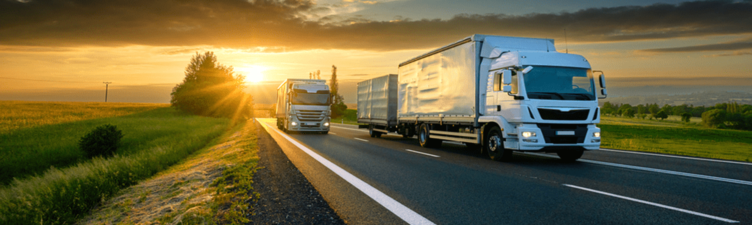 uluslararası evden eve nakliyat